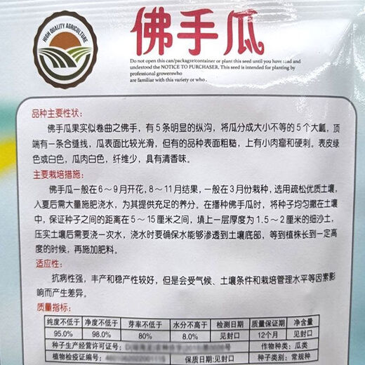 Shop Chayote Early Ripening Extra Large Chayote Vegetable Climbing High Yield Disease Resistant Perennial Melon Affordable Price High Yield Good - 20 Count - Net Seeds Chayote Seeds