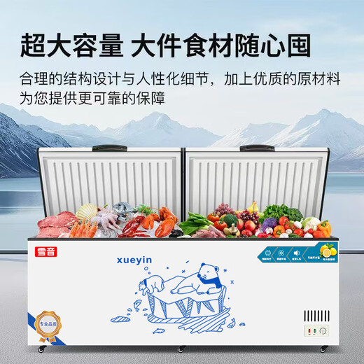 雪音冰柜减霜大容量卧式冷柜家用商用冷藏冷冻单温双温一级节能雪柜厨房囤货冰箱 728单温【智能数显】长1.43米