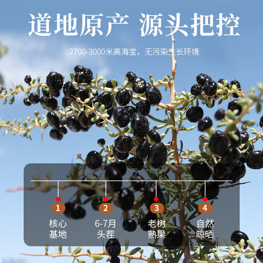 茗愿黑枸杞【买2送1罐】青海免洗大果泡水喝滋补送礼长辈父母养生茶叶 【无熏硫大果】 【150克/罐】