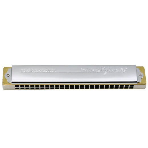 Tongbao harmonica official 6624S rests modified electroplated metal copper grid adult 24-hole polyphonic harmonica C key-commonly used keys