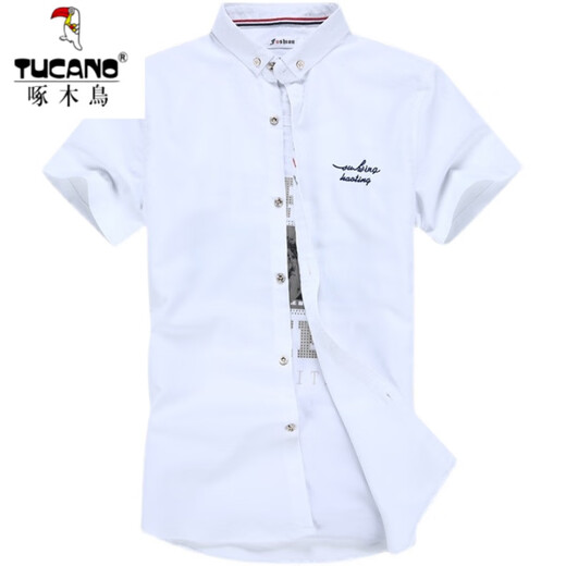 Woodpecker (Tucano) weißes Hemd Herren Sommer Trendy Marke kurzärmeliges einfaches Festkörper-Hemd Junggeschäft hübsches, vielseitiger Schüler formelles Verschleiß Royal Blue 829 XL 120-133jin [Jin ist gleich 0,5 kg]