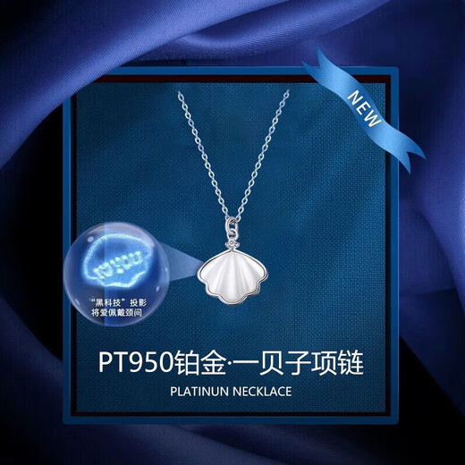 Dirholl Yibeizi platinum necklace, simple and fashionable clavicle chain, Valentine's Day birthday gift for wife and girlfriend PT950 platinum necklace + Yibeizi projection pendant, free engraving - ghostwriting greeting card - exclusive gift box