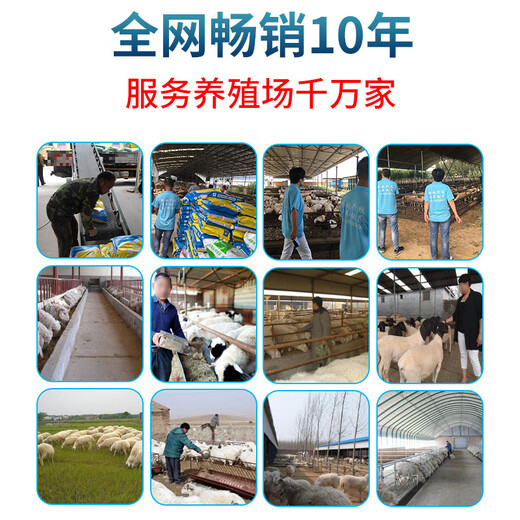 OIMG Longyue Xingmu ewe premix, special feed for breeding pregnant ewes, trace element sheep for multiple lambs and multiple fetuses, Longyue Xingmu ewe premix, breeding pregnant ewes