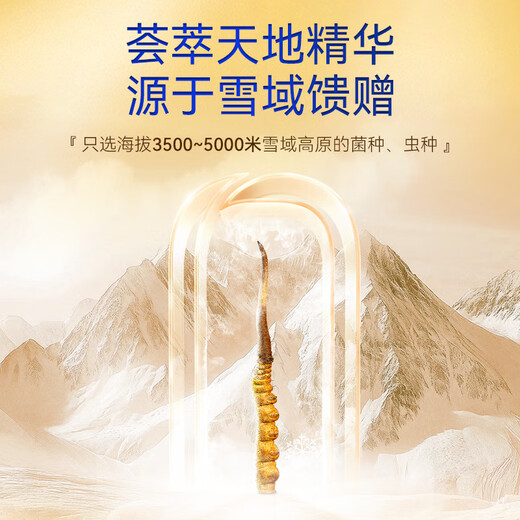 Dongyangguang Cordyceps sinensis 3-4 roots/g4 roots tonic gift box Cordyceps nutritional supplements for elders