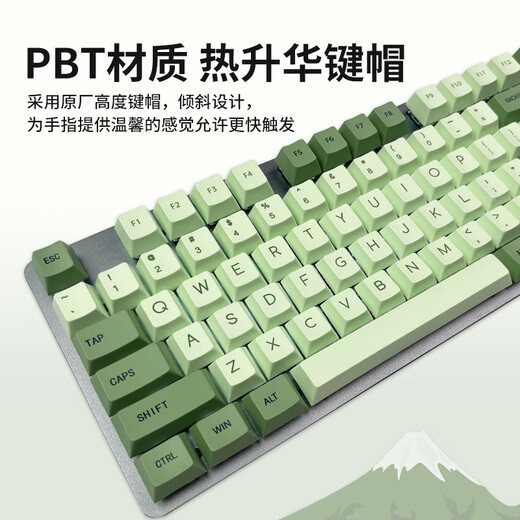 罗技（Logitech）【富士晴雪绿】K845机械键盘 游戏键盘 办公键盘全尺寸办公家用背光电竞吃鸡键盘 K845-青轴-富士晴雪绿