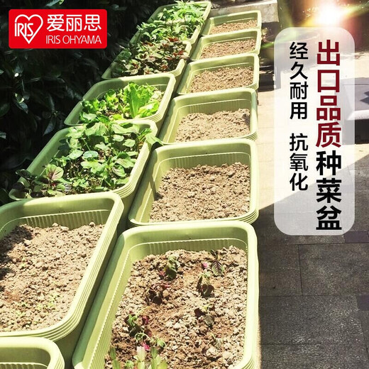 爱丽思花盆塑料花盆特大号树脂种菜蔬菜水果种植盆加厚带排水孔 680