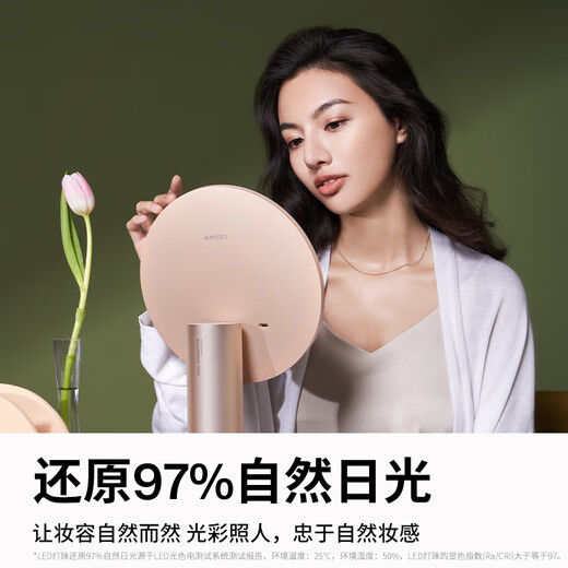 AMIRO makeup mirror with light LED smart high-definition sun mirror O2 Dream Garden Gift Box Mist Powder