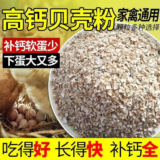 Factory direct sales of high calcium shell powder, clam shell powder to prevent soft eggs from being laid, calcium supplement to feed pigeons, chicken feed thickness, shell powder 1-2mm small particles (specialized to prevent egg pecking, calcium supplement 40Jin Jin is equal to 0.5 kg