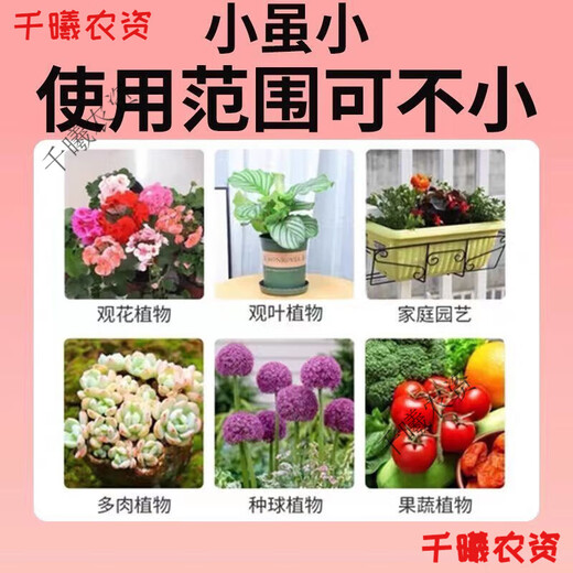 Bud Power Green Plant Fertilizer Slow Release Stick Nutrition Stick Flower Fertilizer Household Flower Gardening Universal Potted Plant Stick Flower Slow Release Fertilizer Trendy New Fertilizer/Plant Nutrition Bar Green Leaves + Flower Boosting + Root Strengthening 3 boxes of 54 pieces