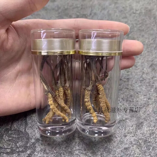 In the inner court, Pangdonglai quality Cordyceps sinensis whole grass broken Cordyceps snowy authentic Cordyceps gift box Jingdian Dongzi flagship camp 0.5g (6 pipes installed)