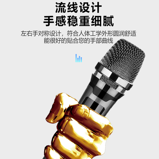 乐视L2 充电无线麦克风家庭KTV唱歌舞台主持演讲K歌会议音箱音响功放万能话筒一拖二