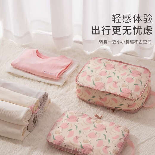 初构想旅行收纳袋衣服内衣内裤分装袋旅游行李箱便携出差衣物压缩整理包 压缩包-莓你不行大号1个
