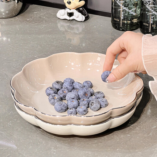 Clcey Internet Celebrity Ceramic Assiette pour la maison Utilisation 2023 Nouveau style Lumière Plat de luxe Plat simple Plat Plaque de table Haute Apparence Simple Color Color Glaze Plaque 2 Packs 1278 8,5 pouces