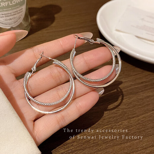 Simple cold style double hoop earrings for women 2025 new trendy earrings temperament high-end atmospheric earrings earrings silver double layer hoop earrings one pair