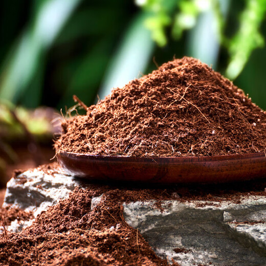 Manlife 16L Bird of Paradise nutritional soil for growing flowers and vegetables, special soil for growing peat soil, organic soil for planting soil, coconut bran green plants