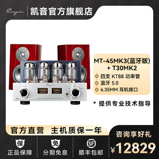 
Cayin Cayin MT-45MK3 Spark amplifier integrated electronic tube duct amplifier fever HIFI music amplifier MT-45MK3 (Bluetooth version) + T30MK2 speaker
