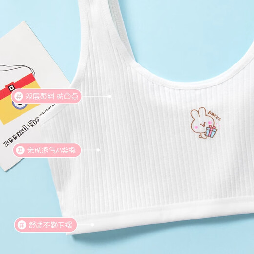 Tingguagua 2 pieces girls underwear for students in the first stage of childhood development period cotton anti-bulge spots for girls aged 8-14 years old