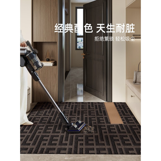 小电兜 XELECPOCKET玄关地毯入户门地垫新款轻奢感进门门口入门地毯耐脏门垫门外 朝暮-14109 80cm*120cm【入户小尺寸】