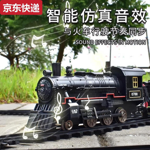 两雪儿童小火车玩具轨道车电动遥控停车场高级蒸汽模型仿真高铁男孩子 珍藏电动版双圆轨-合金蒸汽
