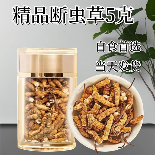 Cordyceps sinensis broken grass (10% for fake ones) Cordyceps sinensis broken grass soaked in wine, cordyceps sinensis supplement nutrition, Tibet Nagqu big broken grass meat festival 5g trial