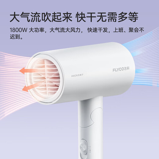 【飞丶科】电吹风机便携家用宿舍学生大功率吹风筒速干可折叠送女友 【1800W速干】负离子FH62 飞科【2000W大功率】FH6231配集风嘴