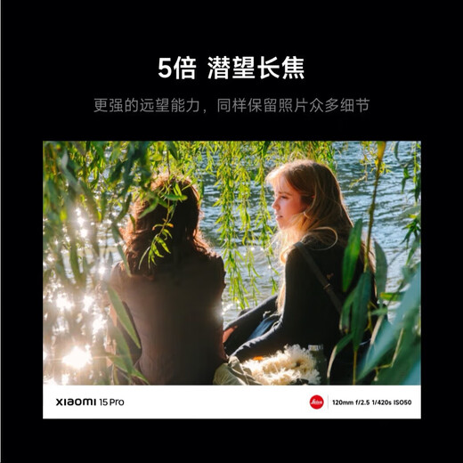 小米（MI）小米15pro 国家补贴 骁龙8至尊版移动平台 徕卡潜望长焦 小米手机15pro 岩石灰 16G+512G 【官方标配】