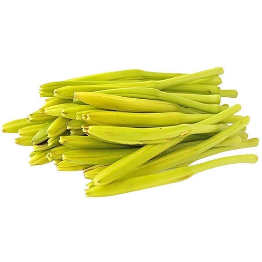 Edible daylily seeds are sown all year round, wild vegetable seeds, southern daylily, natural rare daylily seeds, QE545 new seeds, 1 pack, about 100 seeds, germination