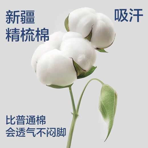 Hergestellt in Jingdong [100% reine Baumwolle] 6 Paar Männer Socken 10A antibakterielle lässige, atmungsaktive Socken für Männer im Sommer Schwarz und Weißgrau