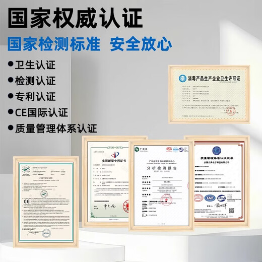 EVANLEY German ozone generator disinfection machine household air purifier water treatment efficient sterilization and disinfection deodorization and odor drinking water fruit and vegetable cleaning to remove pesticide residues 2000mg water treatment model-12 liters