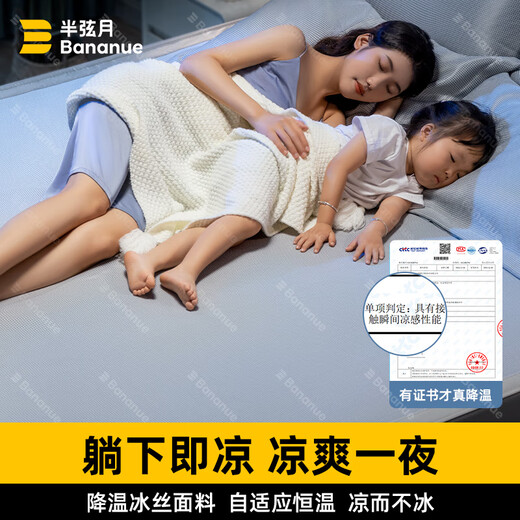 BANANUE【2025年小凉π】冰丝凉席子可机洗床笠床垫床单宿舍1.5mx1.8x2米 雪花灰丨冰丝凉感丨可机洗加厚款 200cm*220cm 丨床单款丨贈枕套*2