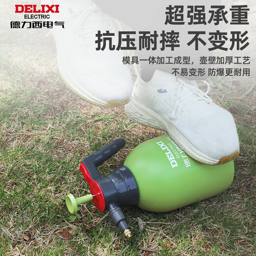 DELIXI ELECTRIC sprayer watering flower kettle air pressure flower watering kettle large capacity household cleaning and disinfection ultra-fine mist spray kettle green 2 liter air pressure watering kettle (with scale)