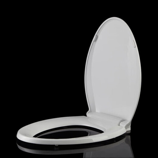 TOTO TAPA DE TIEMBRA ENEGRADA CW864 CSW718B CSW719B CSW729B PP
