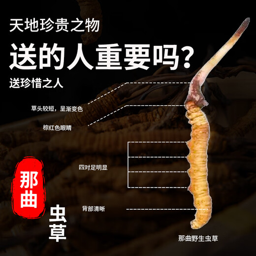 观采归野生冬虫夏草补品送长辈见家长老年人营养端午节礼盒高端实用礼品 看望病人 野生头茬约0.5g/根 30根