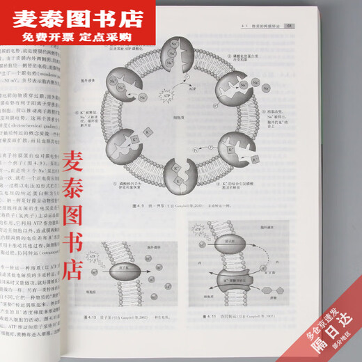 [Libro de banner de Beijing] [1389] Nuevo libro Chen Yuezeng Biología General Cuarta edición Wu Xiangyu Plus Tutoría y ejercicios Síncronos Colección Examen de ingreso de posgrado Olympiad General Student Ejercicio Colección de ejercicios