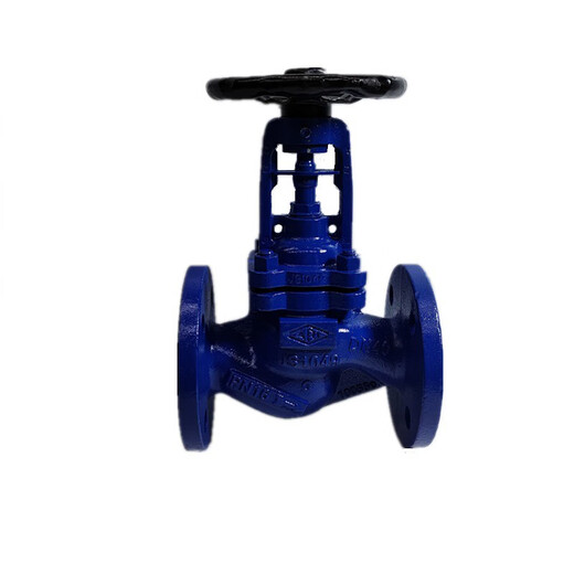 
German ARI corrugated shut-off valve EN-JS1049 PN16 Steam corrugated shut-off valve DN50 (