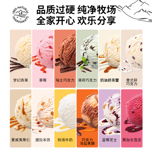莫凡彼（Movenpick）瑞士进口莫凡彼冰淇淋香草薄荷巧克力味/椰子冰激凌雪糕2.4L 2.4L莫凡彼香草梦幻(1205g)