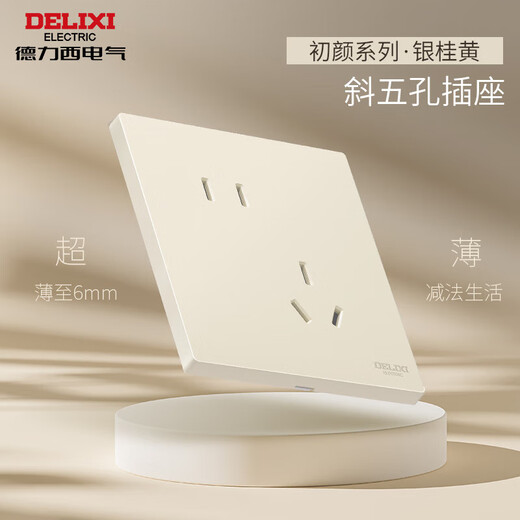 Delixi Switch Socket CD295 Ultra-dünner Matt Matt Large Panel 86 Typ versteckte silberne Zimt gelb Fünf-Loch 10A