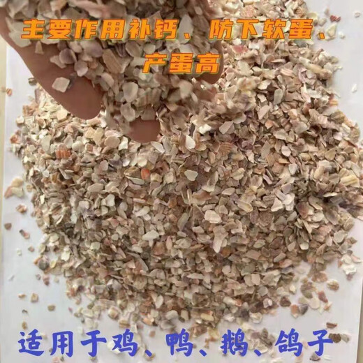 Factory direct sales of high calcium shell powder, clam shell powder to prevent soft eggs from being laid, calcium supplement to feed pigeons, chicken feed thickness, shell powder 1-2mm small particles (specialized to prevent egg pecking, calcium supplement 40Jin Jin is equal to 0.5 kg