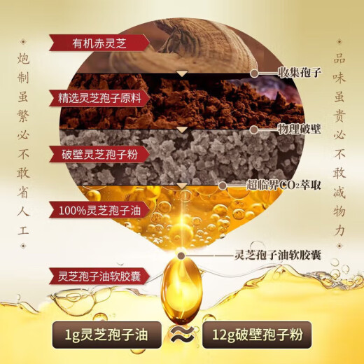灵芝孢子油软胶囊正宗长白山破壁灵芝孢子粉蓝帽袍子油 FDA出口蓝帽 升级版高品质[一盒60粒]体验装