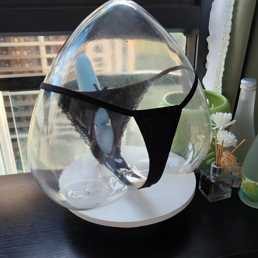 Single Nanwei thong men's sexy transparent see-through opening breathable JJ sleeve bag T underwear U convex temptation gun black M