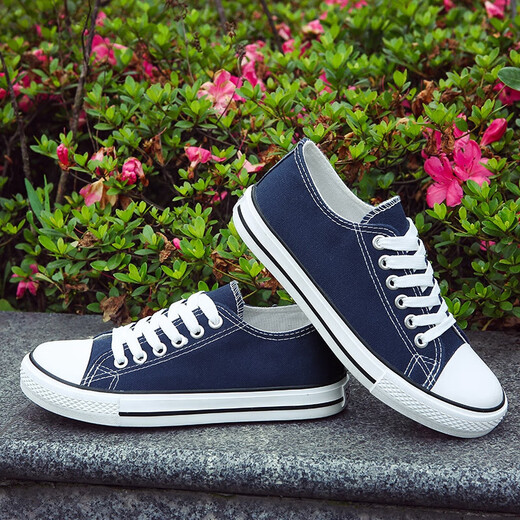 Chaussures en toile à couple pastoral européen pour hommes 2025 Été Nouveaux chaussures de sport décontractées pour hommes à la mode et polyvalente (PJ) 6621 Blue 43