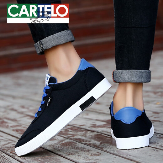 Cartelo 2025 Sommerstudent