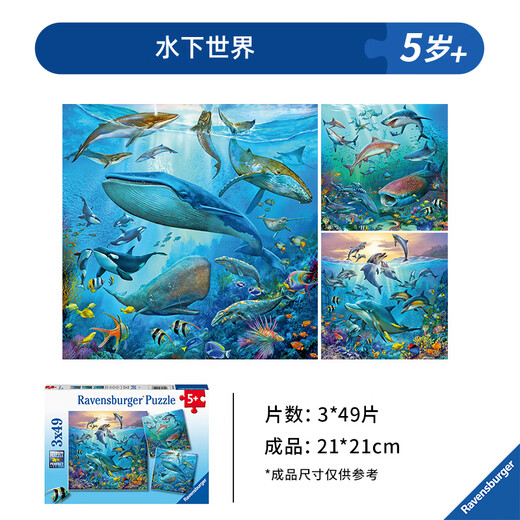 睿思海底生物拼图儿童玩具礼物大童5岁+ 3x49片装(5岁+)水下_5149