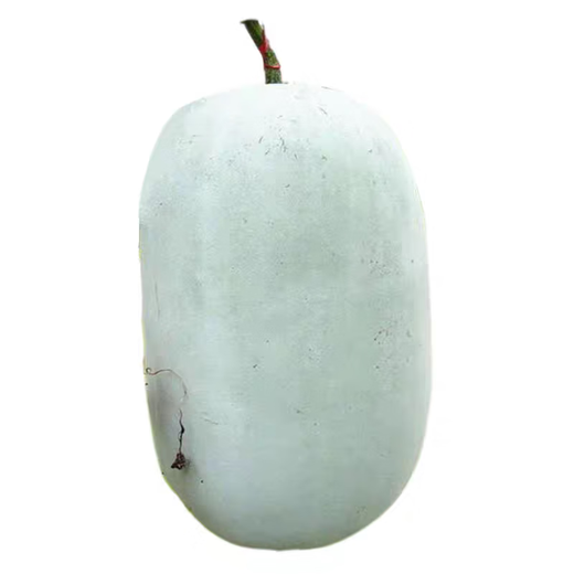 Local old variety short white haired winter melon seeds traditional large winter melon farm taste pink skin winter melon seeds 10 pieces