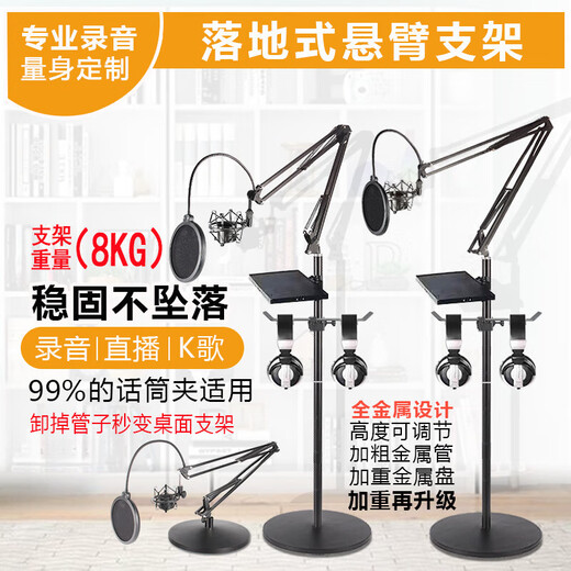 Qianli recording studio floor-standing cantilever stand, microphone stand, integrated mobile phone live broadcast condenser microphone vertical stand, regular version short cantilever + tray