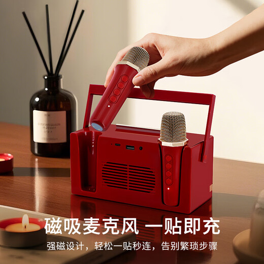 Singba Arena L21 karaoke microphone speaker integrated family KTV set outdoor wireless Bluetooth children's microphone computer TV audio birthday gift