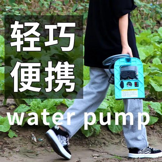 aolalbom奥莱邦菜园浇菜神器浇水机农用自动浇地充电式抽水泵锂电抽水机小 A826续航王+10米管