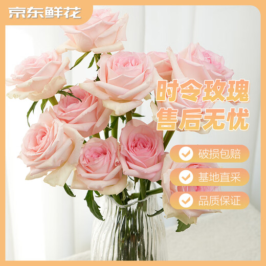 Jingdong Flowers Mengxue Roses 10 Ruyi Base Fresh-cut Flowers Water-raised Flower Arrangements Lifestyle Bouquets Gifts Straight from the Source