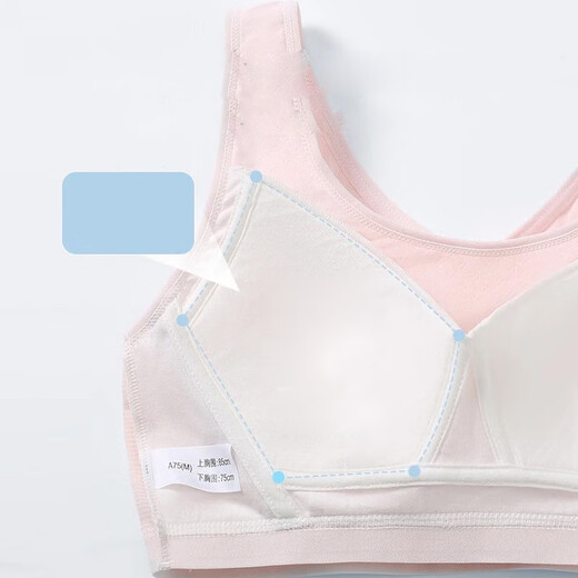
Yu Zhaolin (YUZHAOLIN) 2-piece sports underwear for junior high school students, high school students, puberty girls with chest pads, shock-proof bra during development period 9215 (white + navy blue) L 80 (85-100Jin [Jin equals 0.5 kg])