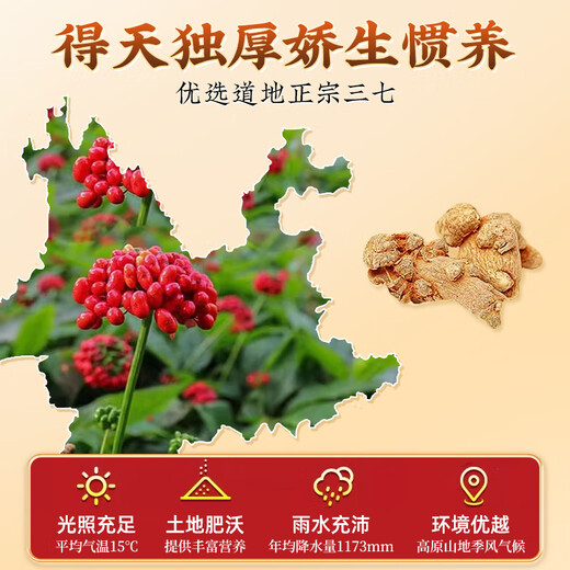 北京同仁堂三七粉中药材云南文山100%正品搭天麻三七通络片送礼滋补品 天麻1罐+三七粉一罐